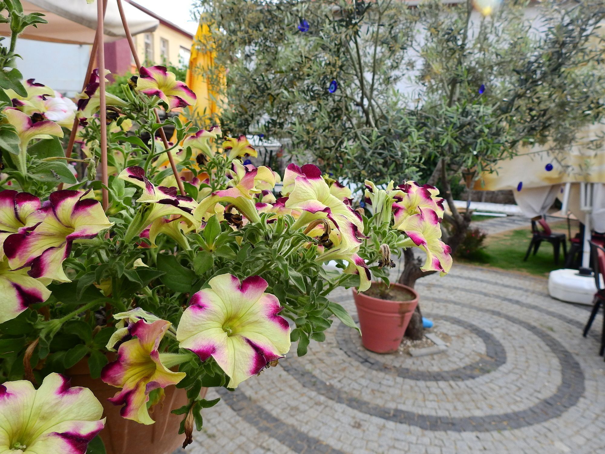 Eden Selene Hotel Ayvalı Esterno foto